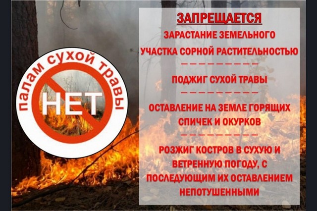 foto 2025 05 19 16 13 002