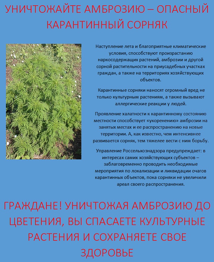 Памятки для населения